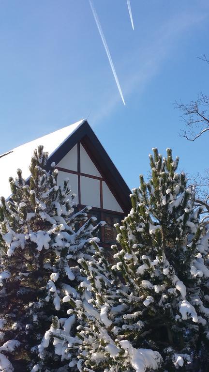 Landhaus Tonmuehle Ilsenburg Zewnętrze zdjęcie