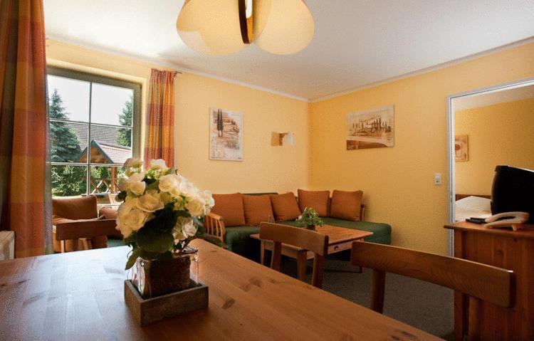 Landhaus Tonmuehle Ilsenburg Zewnętrze zdjęcie