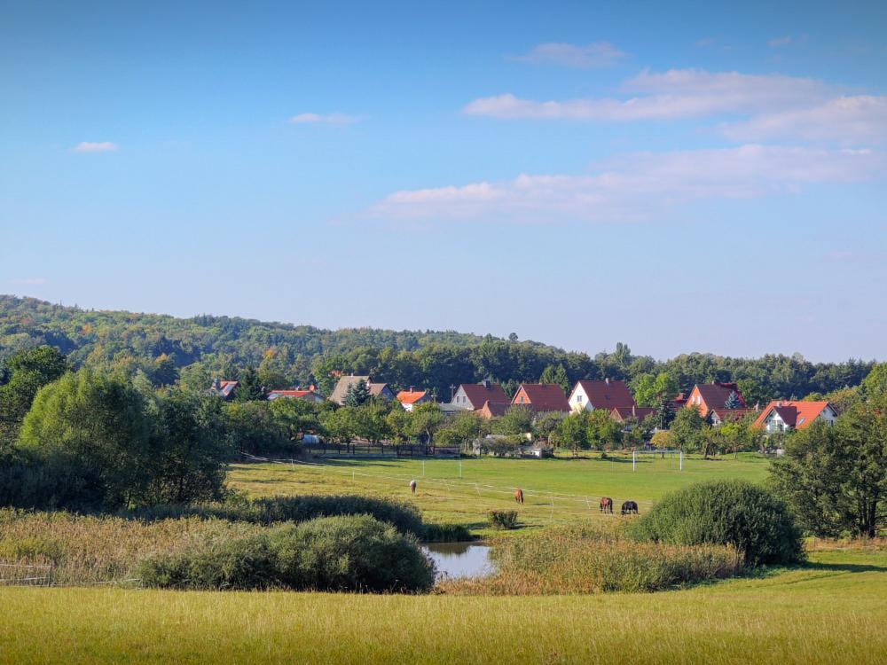 Landhaus Tonmuehle Ilsenburg Zewnętrze zdjęcie